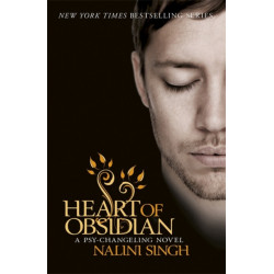 Heart of Obsidian: Book 12