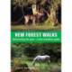 New Forest Walks