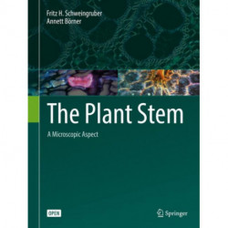 The Plant Stem: A Microscopic Aspect