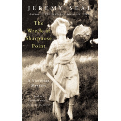 The Wreck at Sharpnose Point