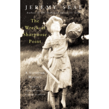 The Wreck at Sharpnose Point