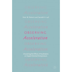 Observing Acceleration: Uncovering the Effects of Accelerators on Impact-Oriented Entrepreneurs