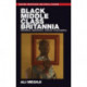 Black Middle-Class Britannia: Identities, Repertoires, Cultural Consumption