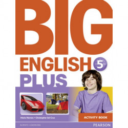 Big English Plus 5 Activity Book