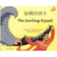 The Swirling Hijaab in Chinese and English