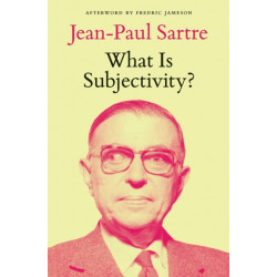 What Is Subjectivity?