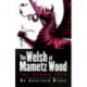 Welsh Of Mametz Wood The Somme 1916