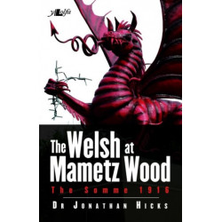 Welsh Of Mametz Wood The Somme 1916