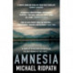 Amnesia: An 'ingenious' and 'twisting novel', perfect for fans of Peter Lovesey and William Ryan