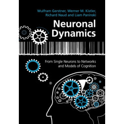Neuronal Dynamics: From Single Neurons to Networks and Models of Cognition