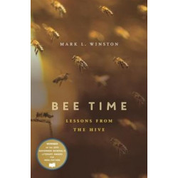 Bee Time: Lessons from the Hive