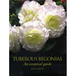 Tuberous Begonias: An Essential Guide