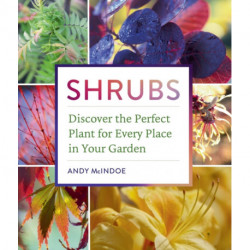 Shrubs: Discover the Perfect Plant for Every Place in Your Garden