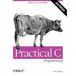 Practical C Programming 3e: Why Does 2+2 - 5986?