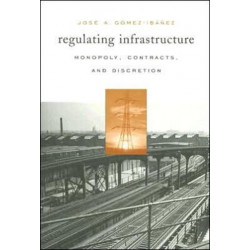Regulating Infrastructure: Monopoly, Contracts, and Discretion