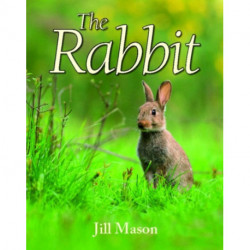 The Rabbit
