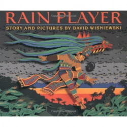 Rain Player