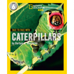 Face to Face with Caterpillars: Level 6
