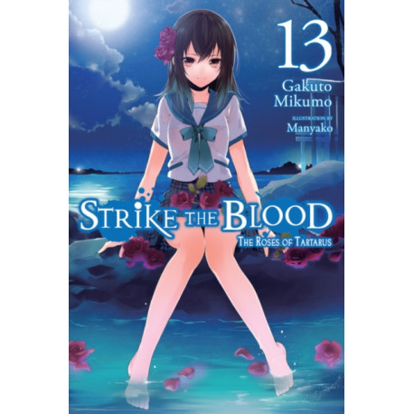 Strike the Blood, Vol. 13 (light novel)