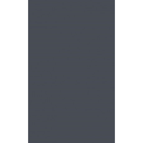 Men in Place: Trans Masculinity, Race, and Sexuality in America