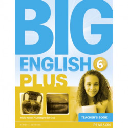 Big English Plus 6 Teacher's Book