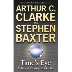 Time's Eye: A Time Odyssey Book One