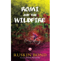 Rom and the Wildfire