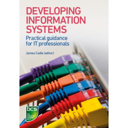 Developing Information Systems: Practical guidance for IT professionals