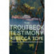 The Troutbeck Testimony: The evocative English cosy crime series