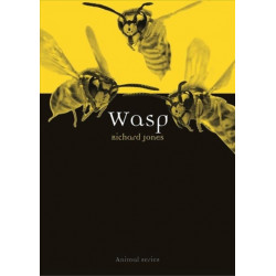 Wasp