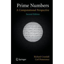 Prime Numbers: A Computational Perspective