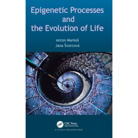 Epigenetic Processes and Evolution of Life