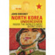 North Korea Undercover