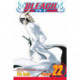 Bleach, Vol. 22: Conquistadores