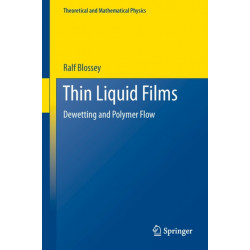 Thin Liquid Films: Dewetting and Polymer Flow