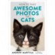 How to Take Awesome Photos of Cats