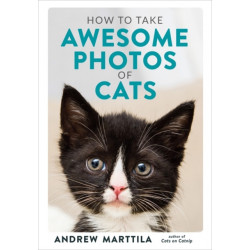 How to Take Awesome Photos of Cats