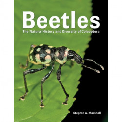Beetles: The Natural History and Diversity of Coleoptera