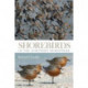 Shorebirds of the Northern Hemisphere