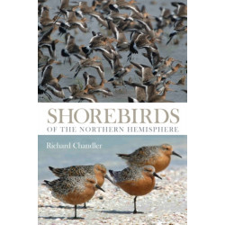 Shorebirds of the Northern Hemisphere