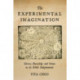 The Experimental Imagination: Literary Knowledge and Science in the British Enlightenment