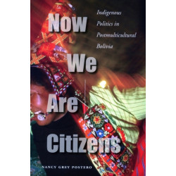 Now We Are Citizens: Indigenous Politics in Postmulticultural Bolivia