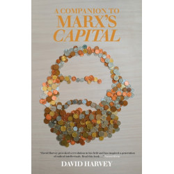 A Companion to Marx's Capital
