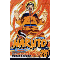 Naruto, Vol. 26: Awakening