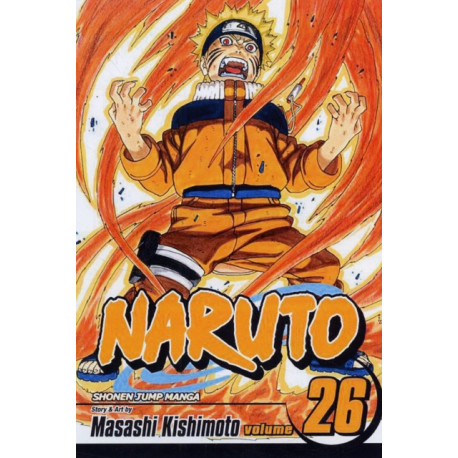 Naruto, Vol. 26: Awakening