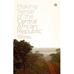 Making Sense of the Central African Republic