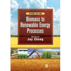 Biomass to Renewable Energy Processes
