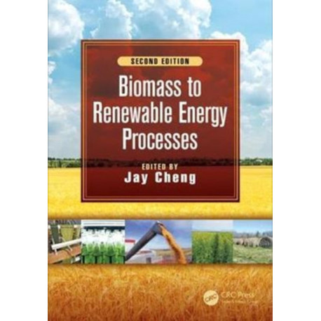 Biomass to Renewable Energy Processes