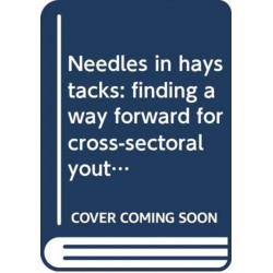 Needles in haystacks: finding a way forward for cross-sectoral youth policy