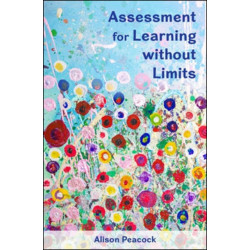 Assessment for Learning without Limits